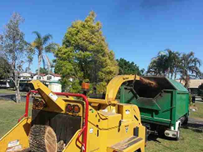 Yellow wood chipper beside a green tipper truck on grass