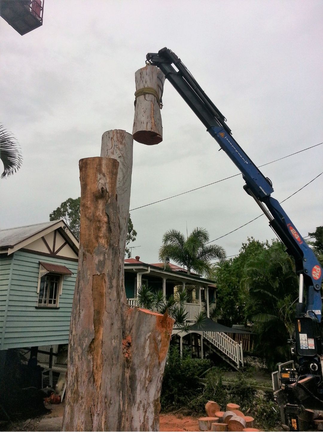 Crane holding a cut trunk section above the tree beside a Queenslander house