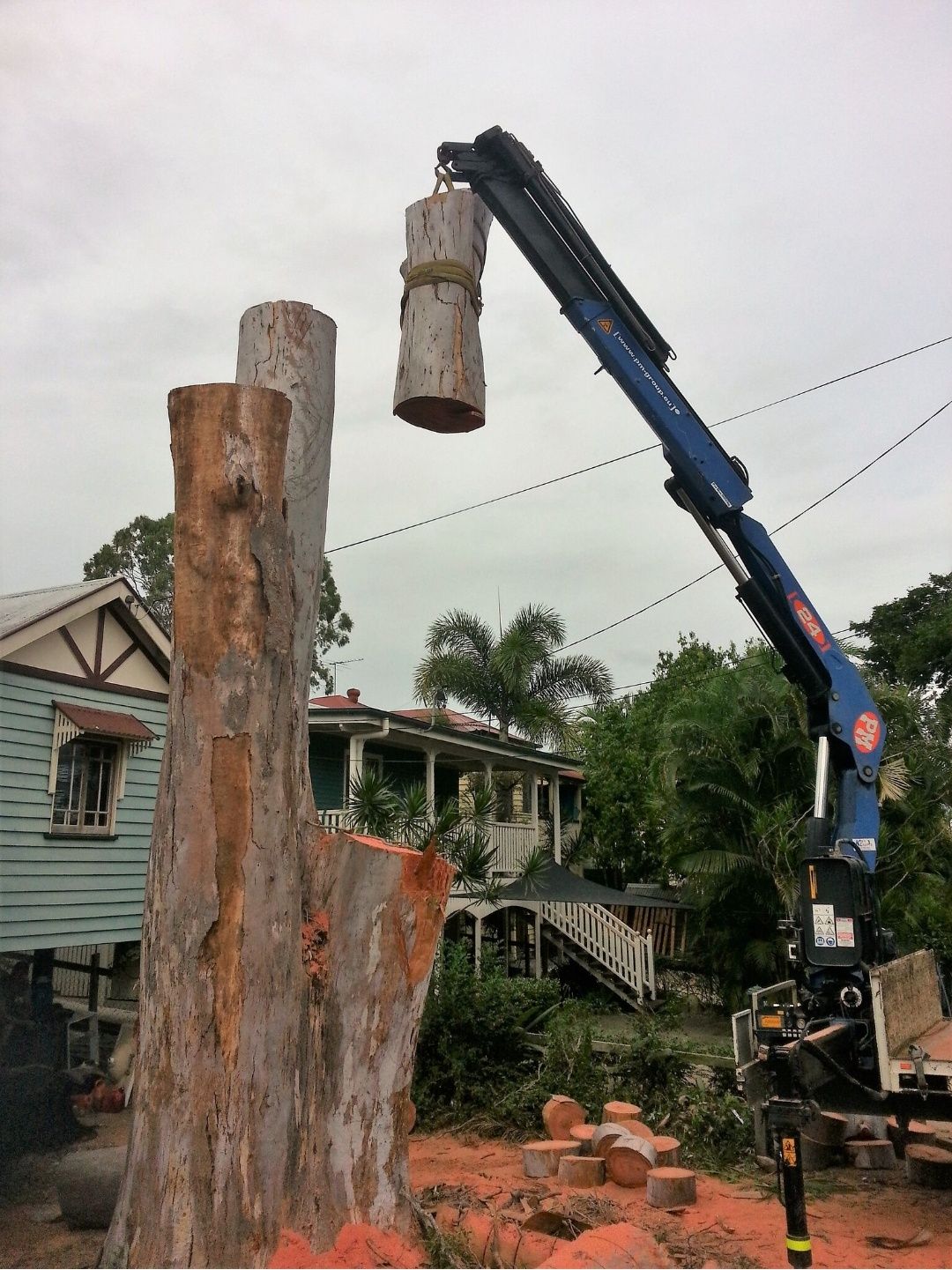Crane lifting a cut section of trunk above a tree stump beside a Queenslander house