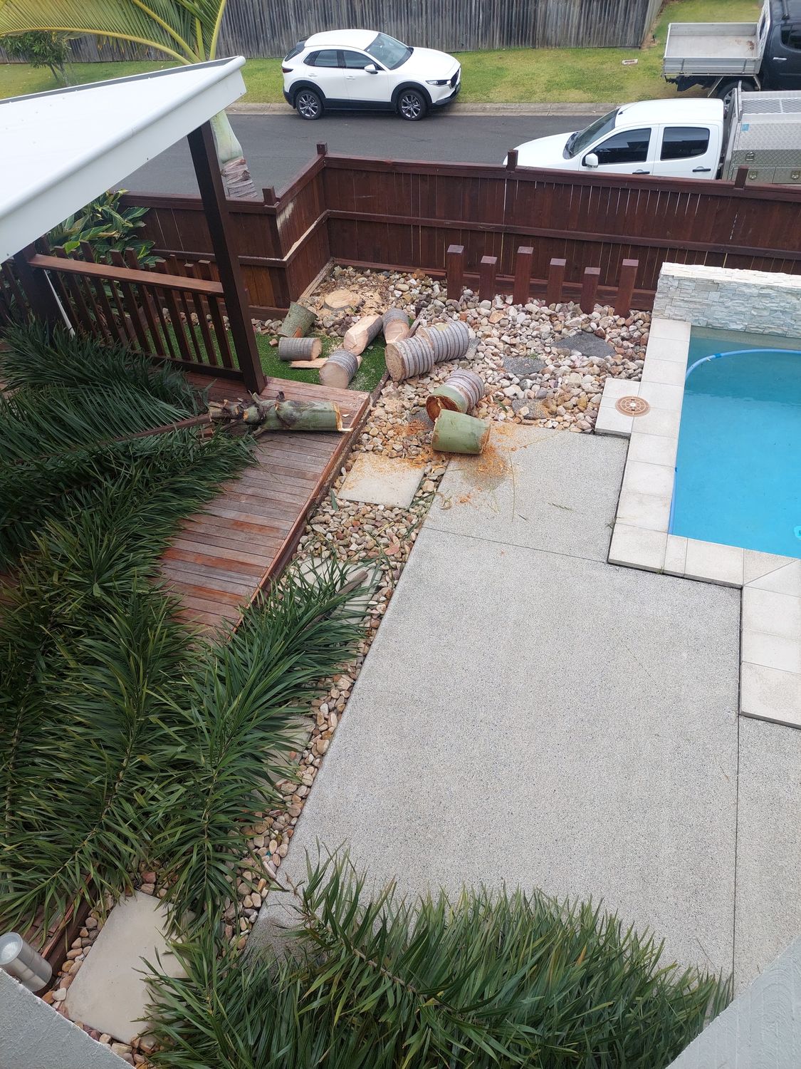 Palm trunk cut into rounds and lying on gravel beside a swimming pool and timber deck, with palm fronds across the deck