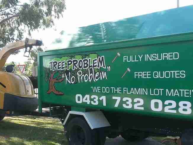 Green Tree Problem No Problem truck with Fully insured, Free quotes, the slogan We do the flamin lot mate and the phone number on the side